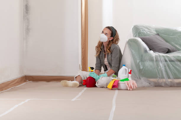 Reliable Mold Cleanup contractor in Springs, NY by Cheap Mold Removal